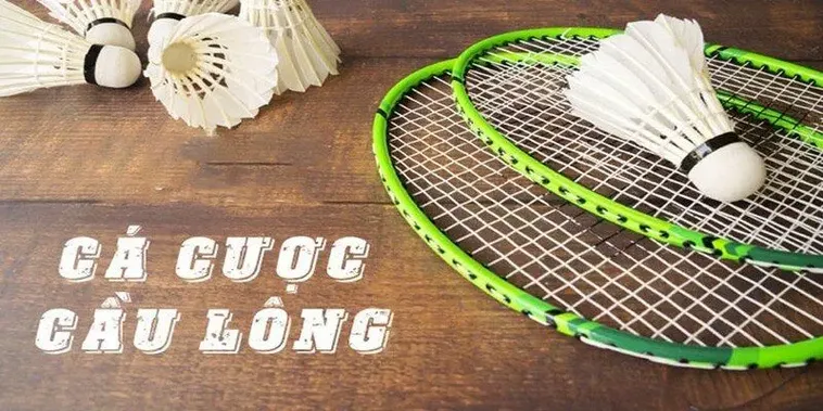 Chinh Phục Kèo Cược Cầu Lông 33Win Với Chiến Thuật Bất Bại