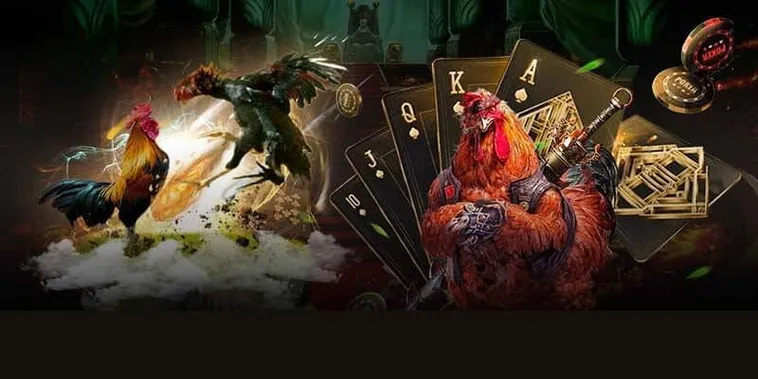 Trở Thành Chuyên Gia Đá Gà GA28 Tại 33Win Với Vài Bước Đơn Giản