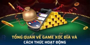 Bí Quyết Chơi Xóc Đĩa 33Win Bách Phát Bách Trúng Cực Hay